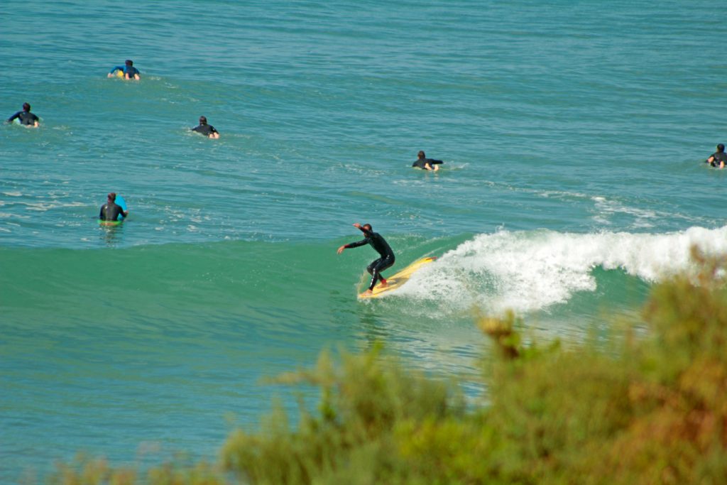 Surf Guiding