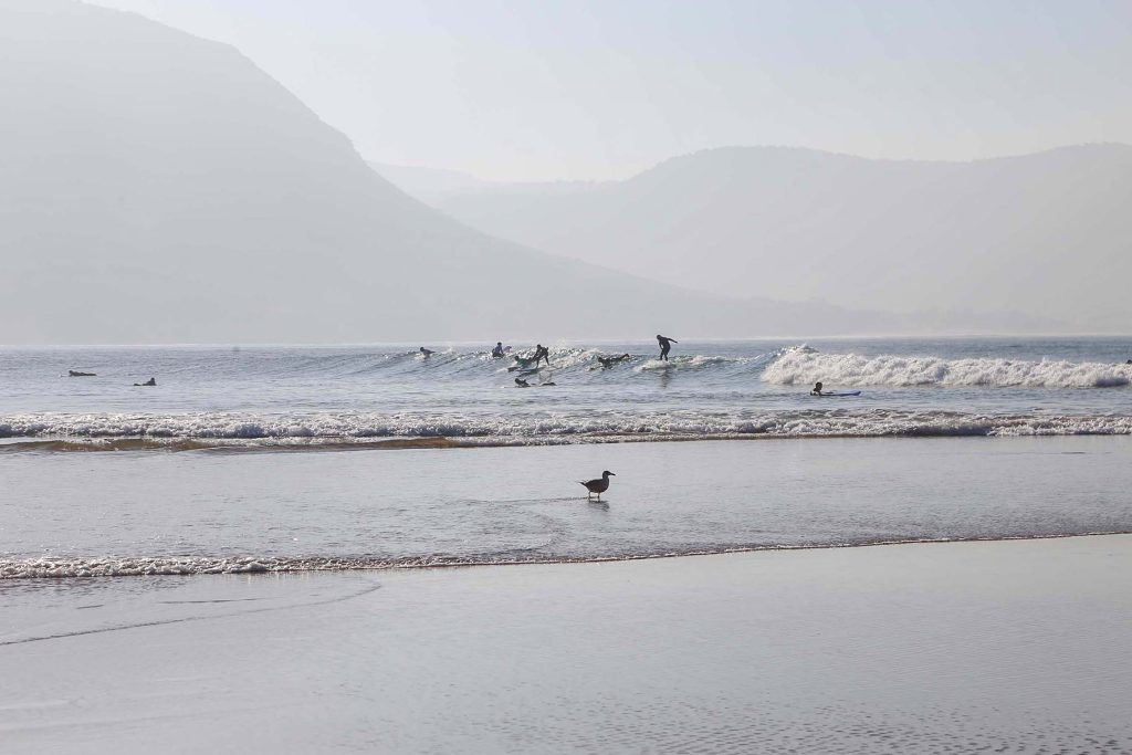 Surf Guiding Package