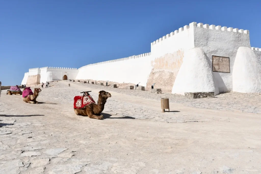 Agadir City Tour Experience