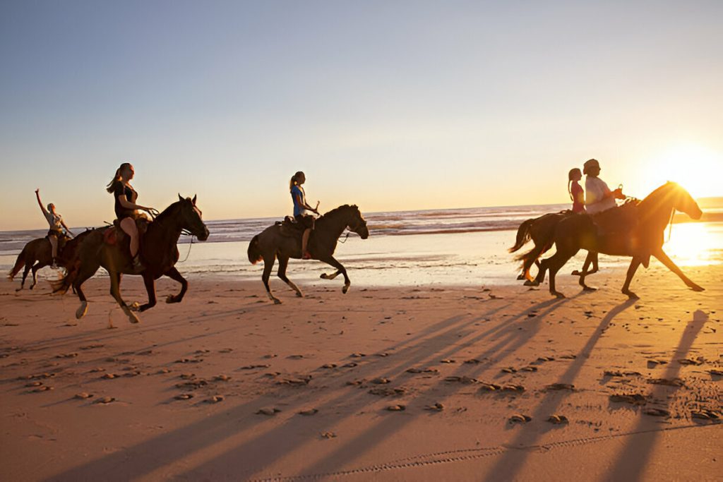 Horse Riding Adventure