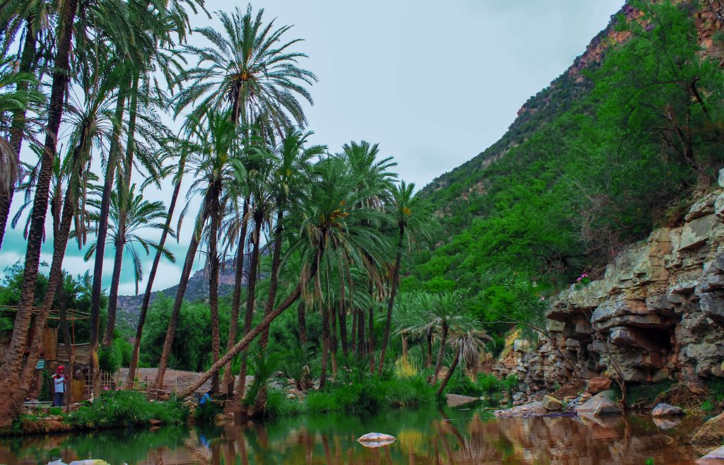 Paradise Valley Hiking Day Trip