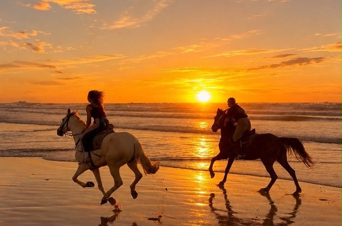 Horse Riding Adventure