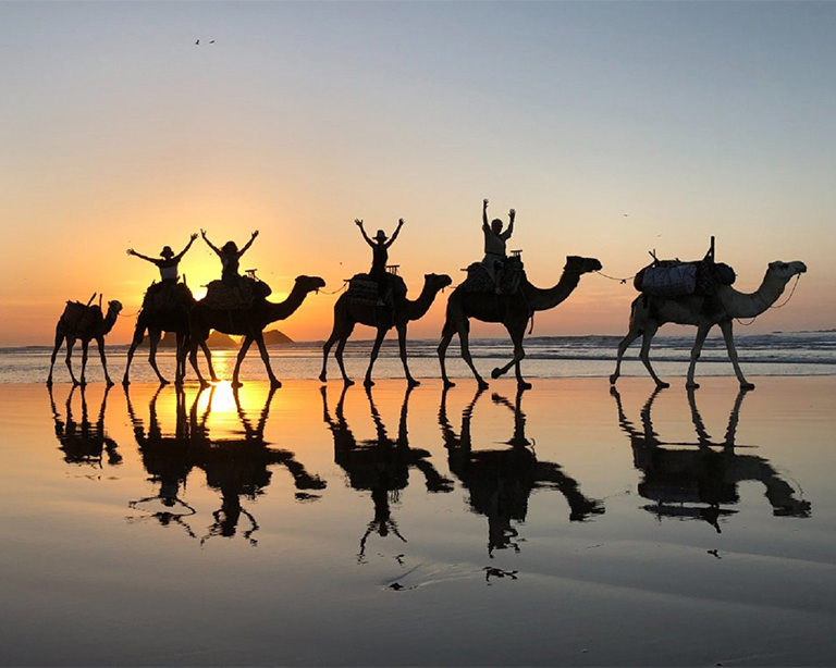 Camel Riding Adventure